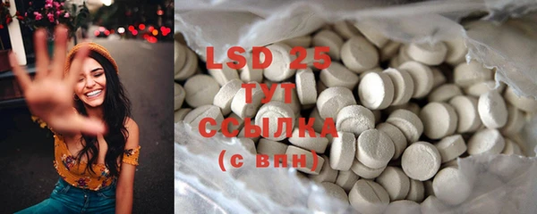 PSILOCYBIN Гусев