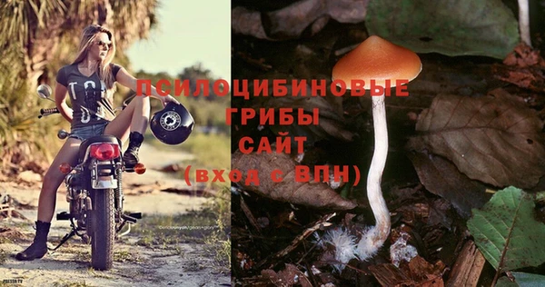 PSILOCYBIN Гусев