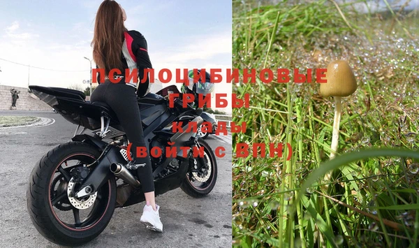 круглые Новозыбков