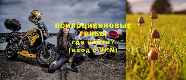 не бодяженный Гусиноозёрск