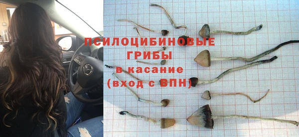 PSILOCYBIN Гусев