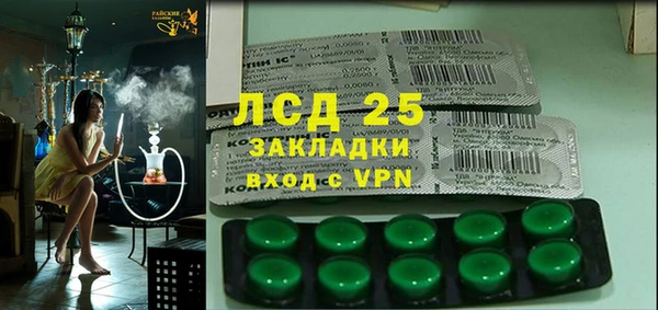 PSILOCYBIN Гусев