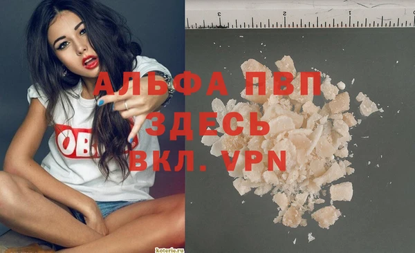PSILOCYBIN Гусев