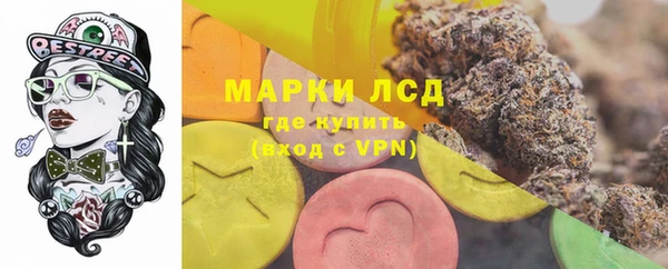 PSILOCYBIN Гусев