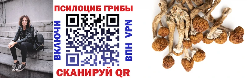 Галлюциногенные грибы Cubensis  Дрезна 