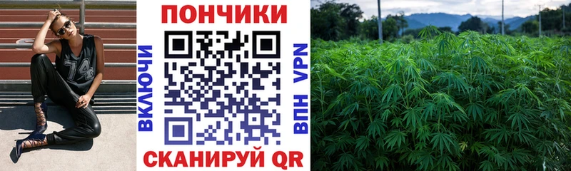 Шишки марихуана Amnesia  kraken ССЫЛКА  Дрезна 